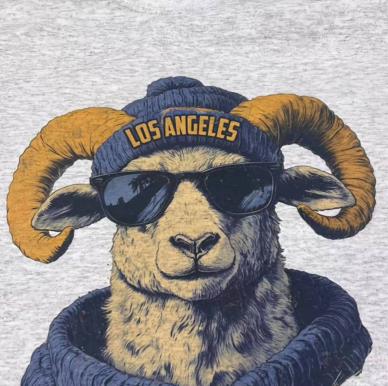 Spirit Animal Football Graphic Sweatshirts City Animal Sports Pullover Game Day City Football Sweatshirt CaSual Game Home Town Pullover